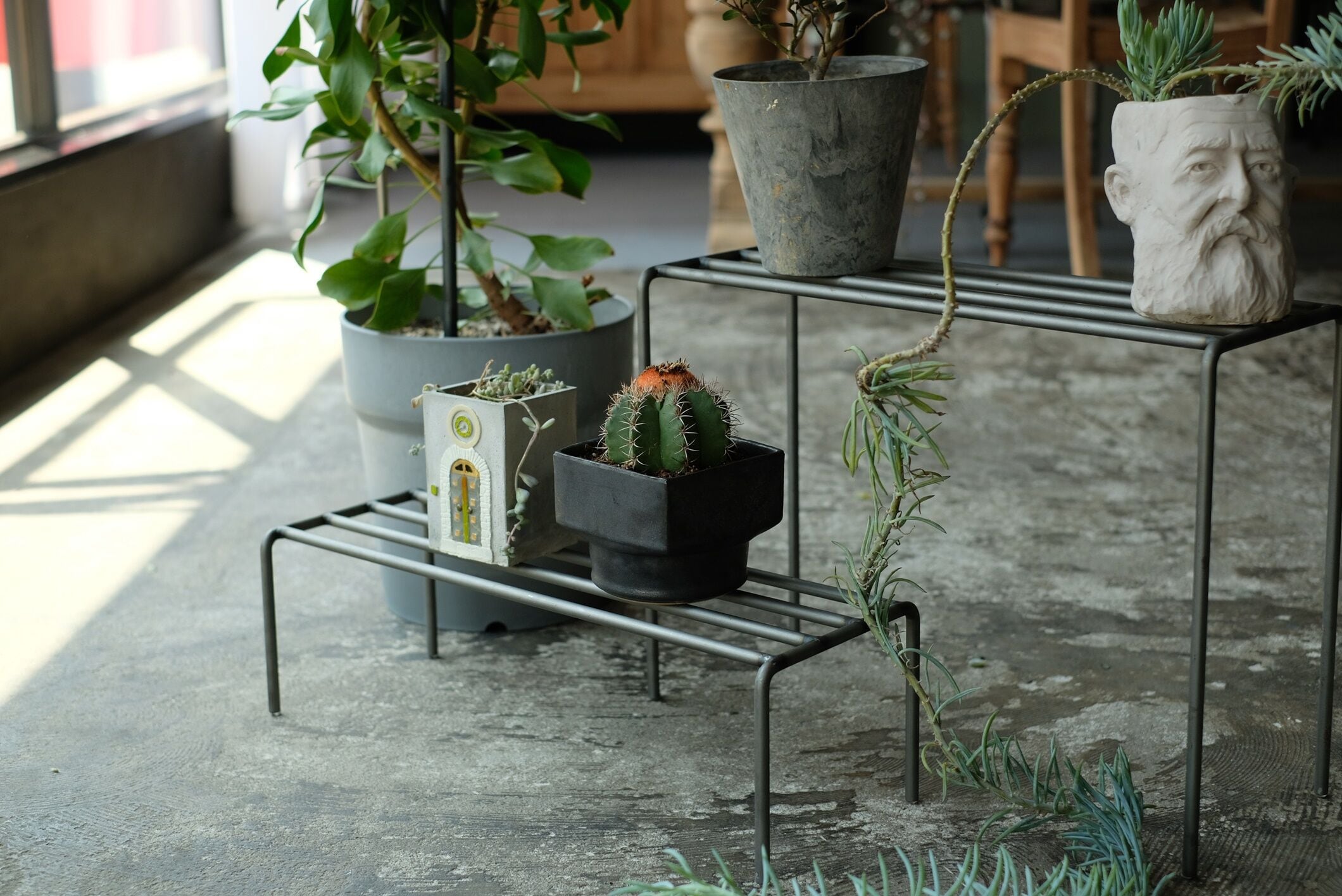 KNOP plant stands WIDE (S) | WEST VILLAGE TOKYO
