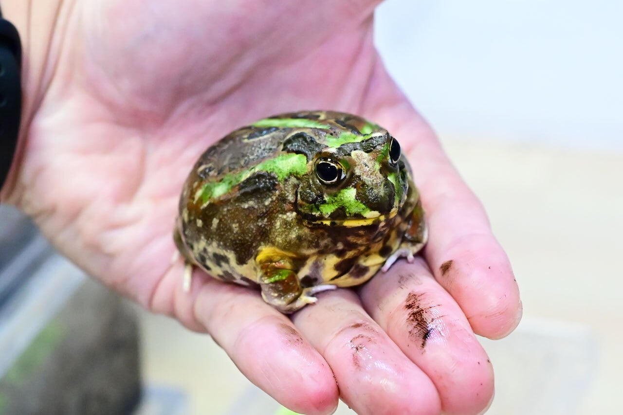 785733f3652d6d2562386b6362ecc4