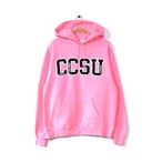 チャンピオン CCSU スウェットパーカ ピンク ワッペン トレーナー メンズM カレッジ Champion 古着 @CG0295