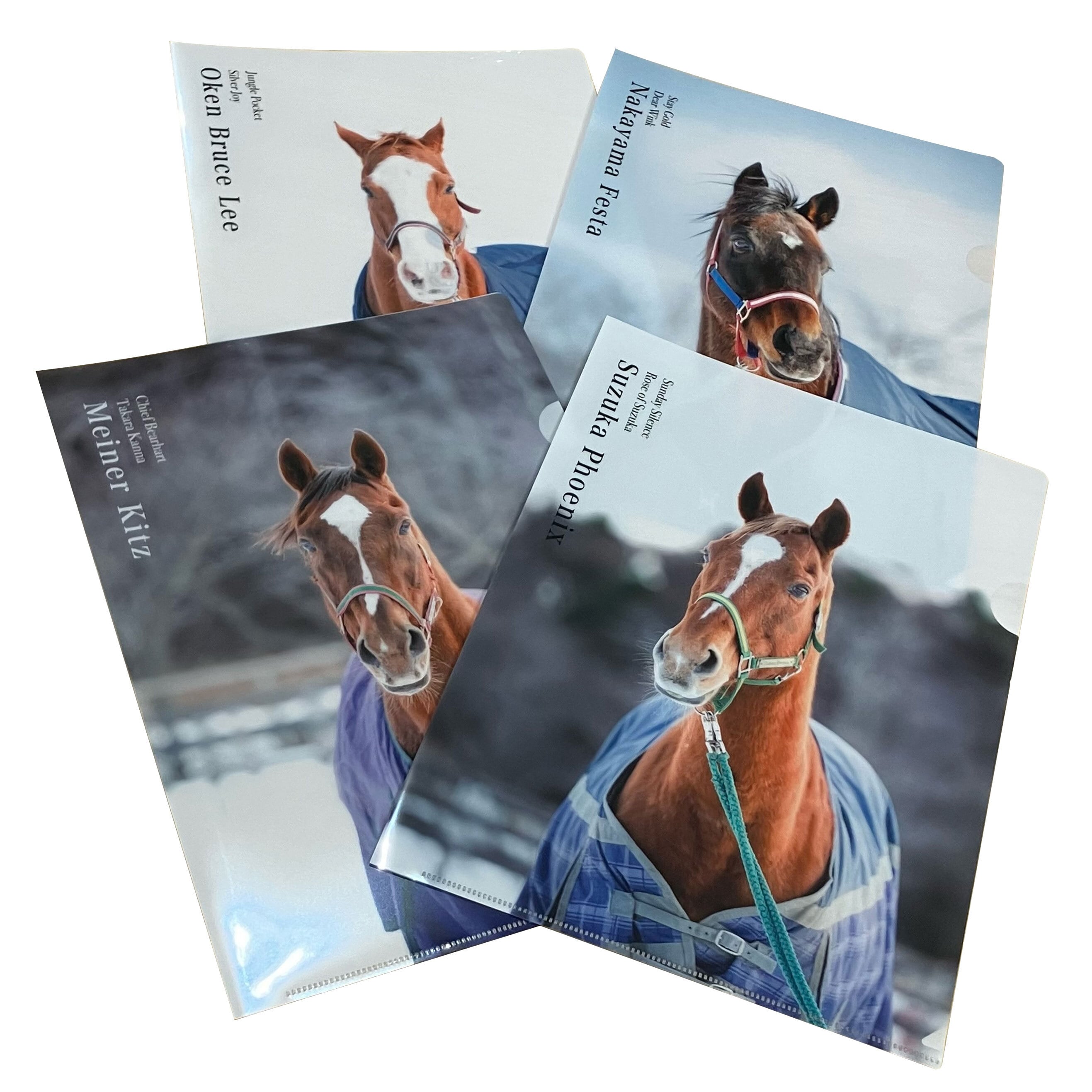 ナカヤマフェスタ クリアファイル | Hidaka Horse Select Shop ナカヤマフェスタ クリアファイル | Hidaka Horse Select Shop