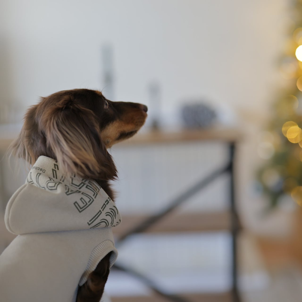 フジアースフィールド スタッフパーカー | カニンヘンダックスと