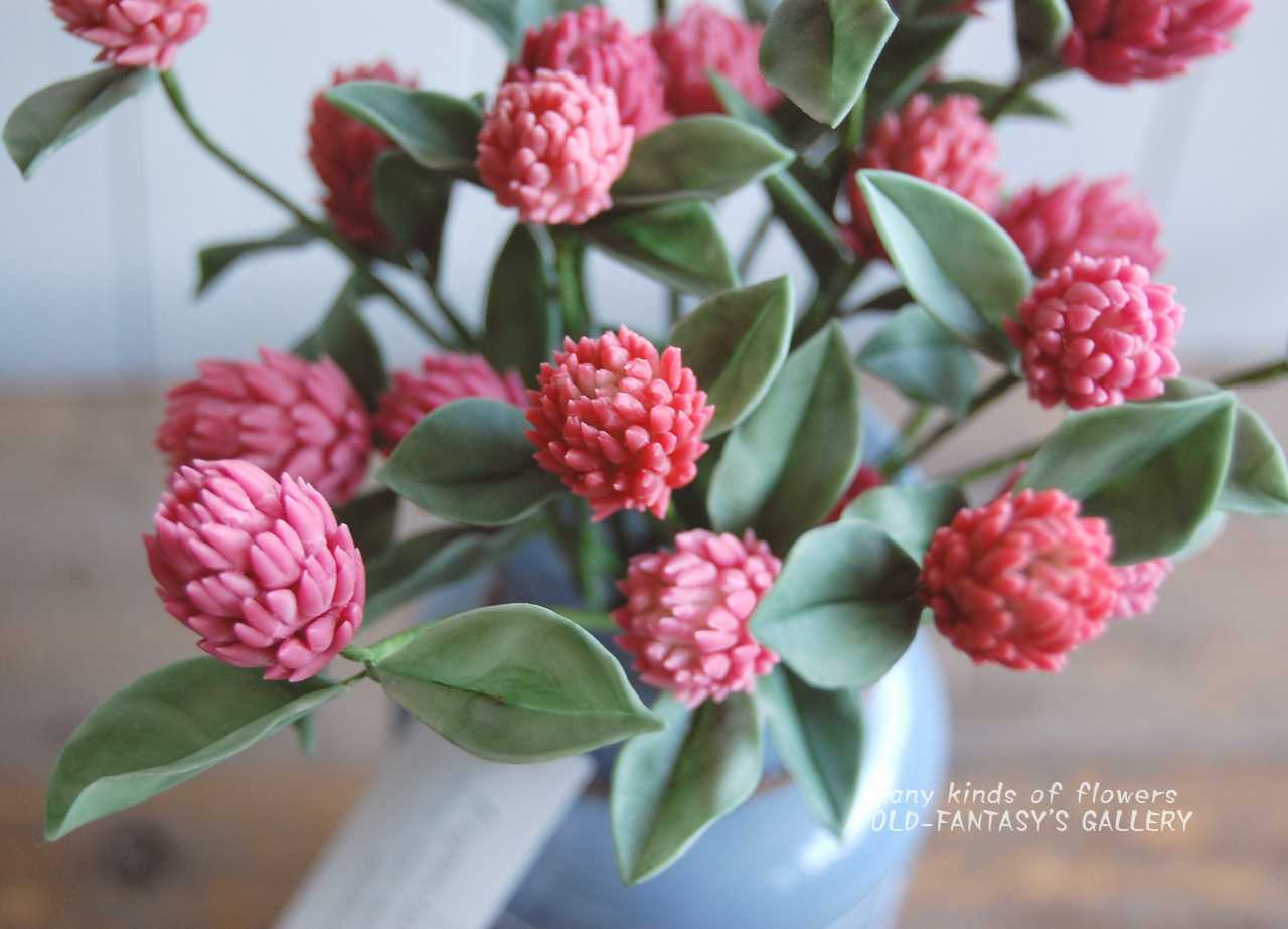 千日紅 ストロベリーフィールズをボトルベースに飾って 約23センチ S407 Oldfantasy