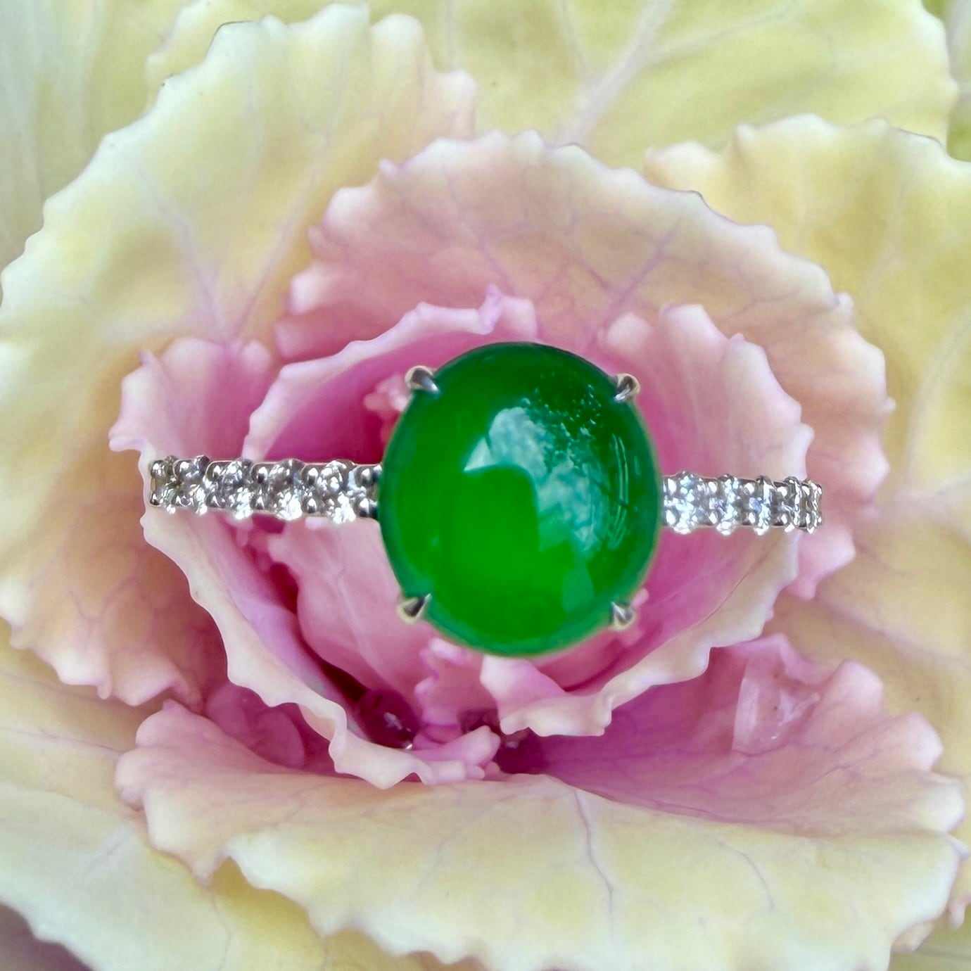 イギリス ハマースレイ うさぎ トリンケットボックス 小物入れ 大きな