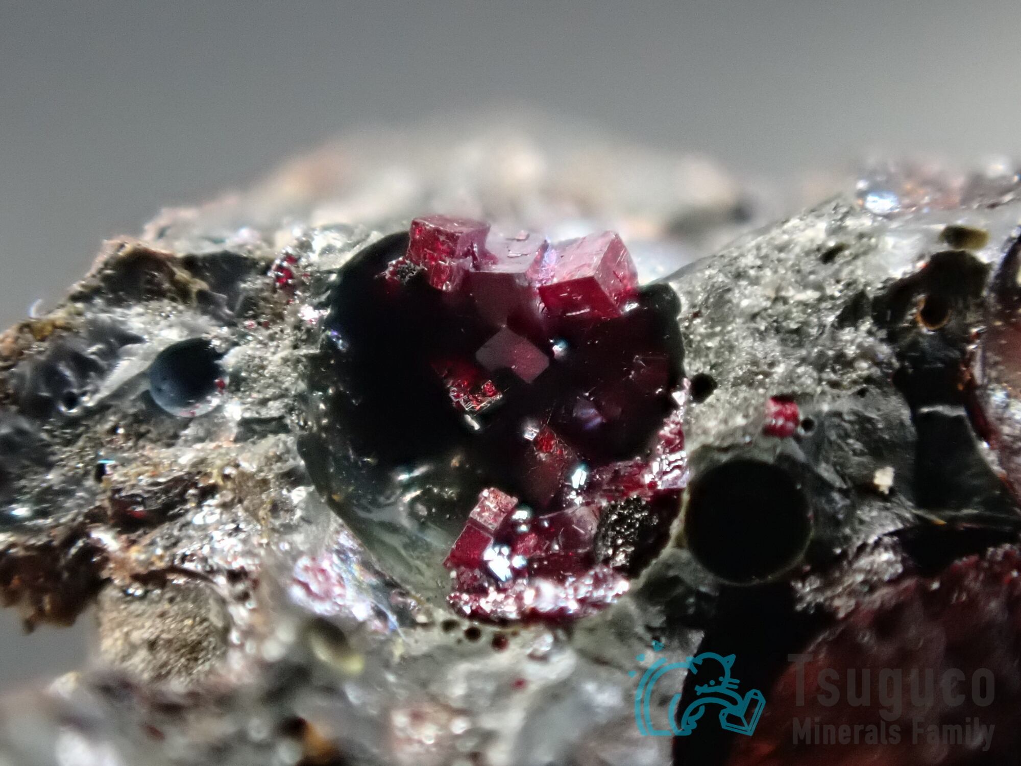 キュプライト 赤銅鉱 ポルトガル TM-645 | つぐこみねらるず ｜鉱物