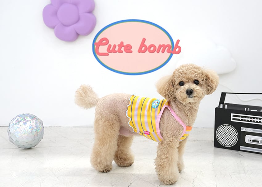 【予約商品5％OFF】cute bomb crop top S ~ XL 2color / 犬服 新作 涼しい 夏 ショート丈 可愛い 犬の服 クロップドトップス お揃い ドッグウェア おパンツカット 袖なし