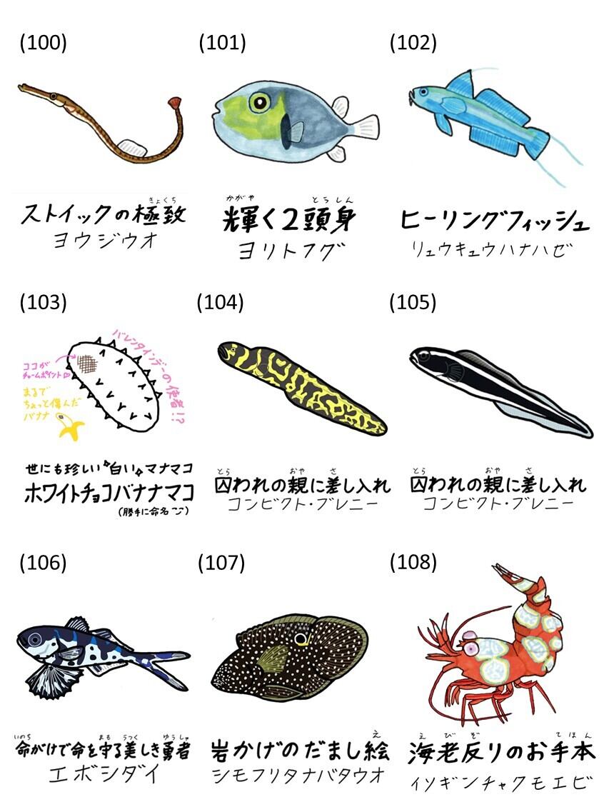 全125種】オリジナル魚名板アクリルキーホルダー | 幼魚屋オンライン