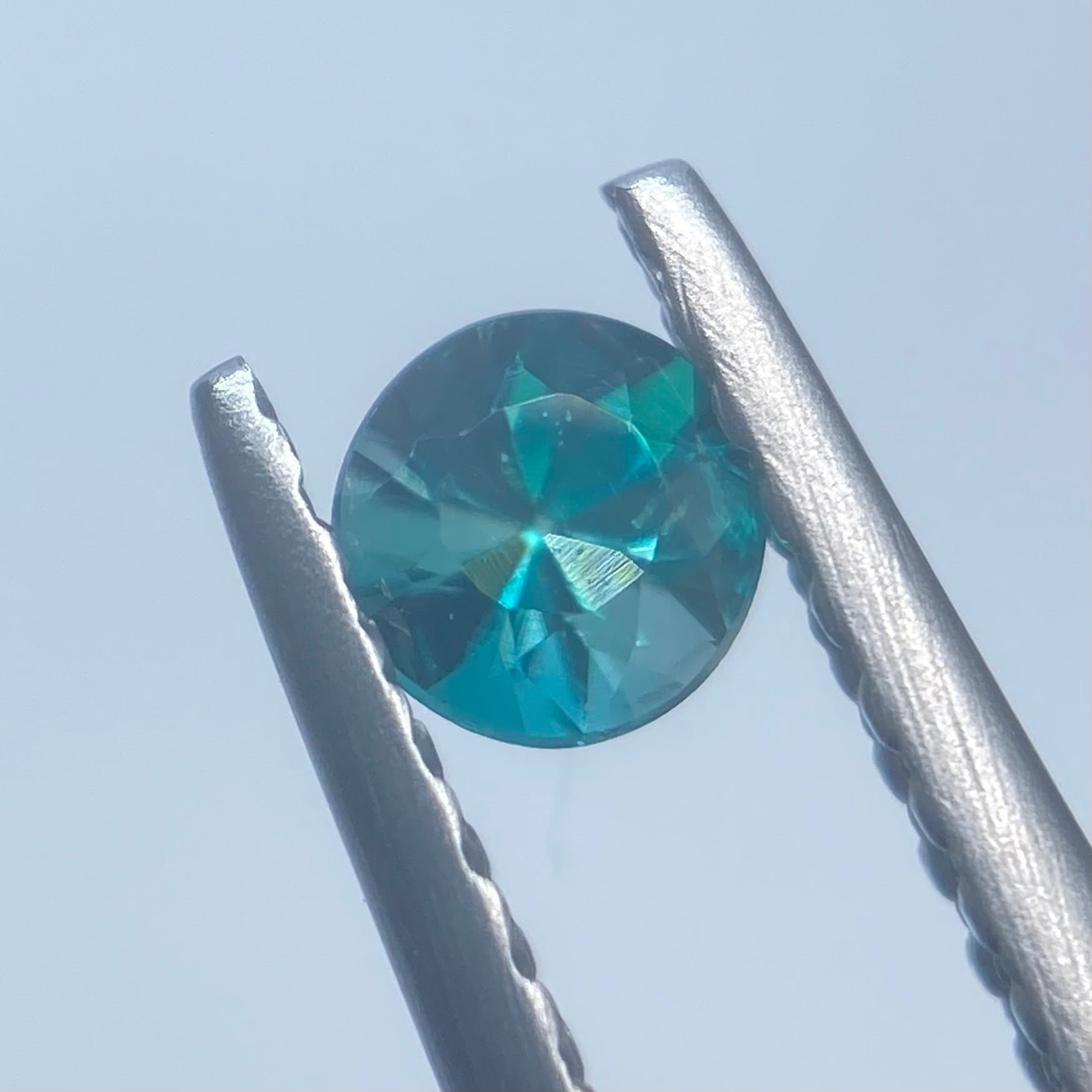 濃く鮮やかな希少カラー グランディディエライト2