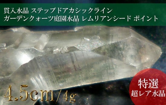 超希少！ライトニングクォーツ(セーラデカブラル産)大型レムリアン