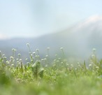 【美品】Super Takumar 55mm f1.8 後期　定番のオールドレンズ