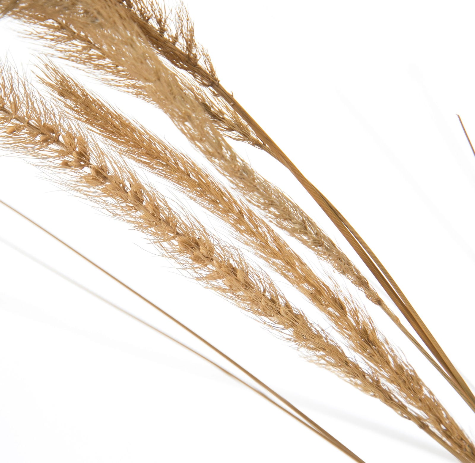 フォックステール　　FS-9068BR　4961823795619　造花（アーティフィシャルフラワー） > シーズン造花