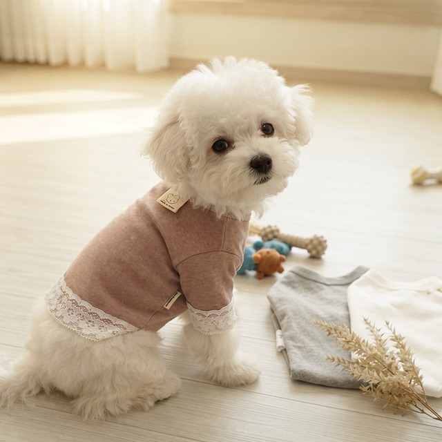 mellow lace t-shirt S ~ XL 3color  /  犬服 秋冬 Tシャツ 重ね着 長袖 部屋着 抜け毛対策 無地 シンプル ストレッチ 可愛い 犬の服 ドッグウェア 小型犬 中型犬