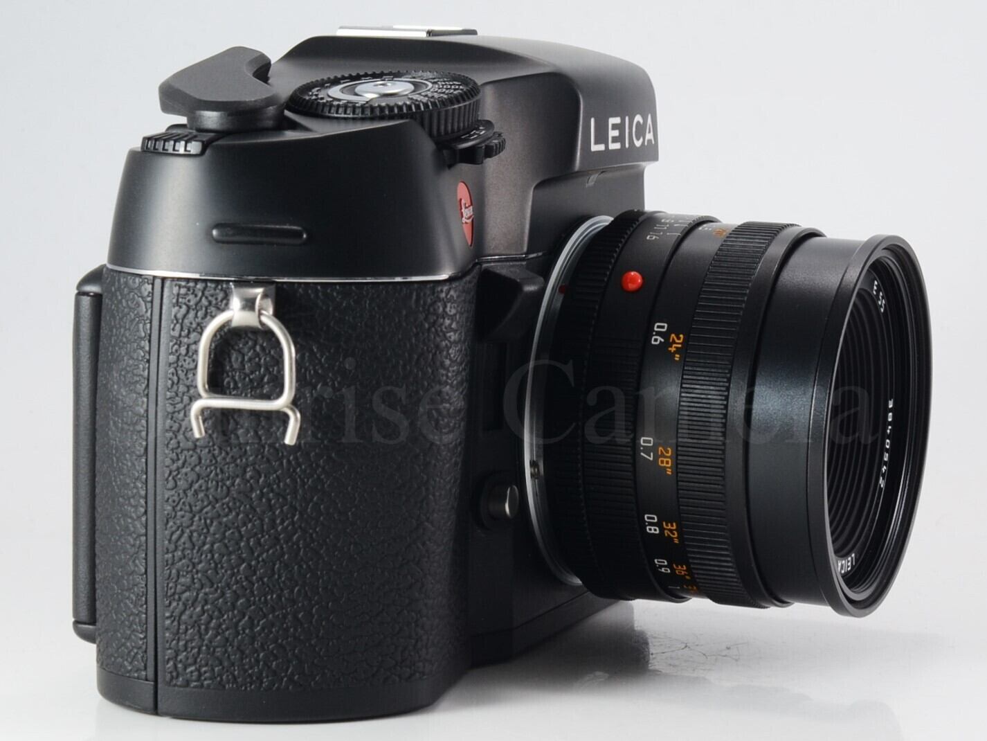 Leica R8 / SUMMICROM-R 50mm F2 E55 ライカ (61501) | サンライズ