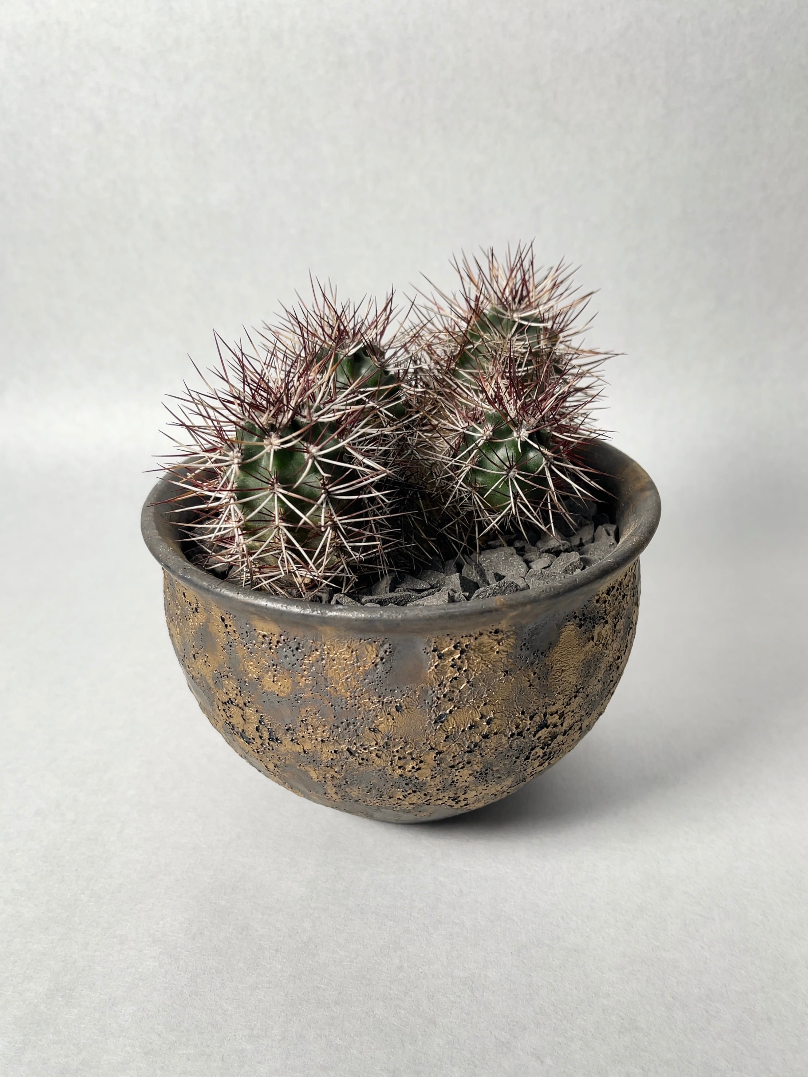 中川智治×trigger】ダビシー | trigger