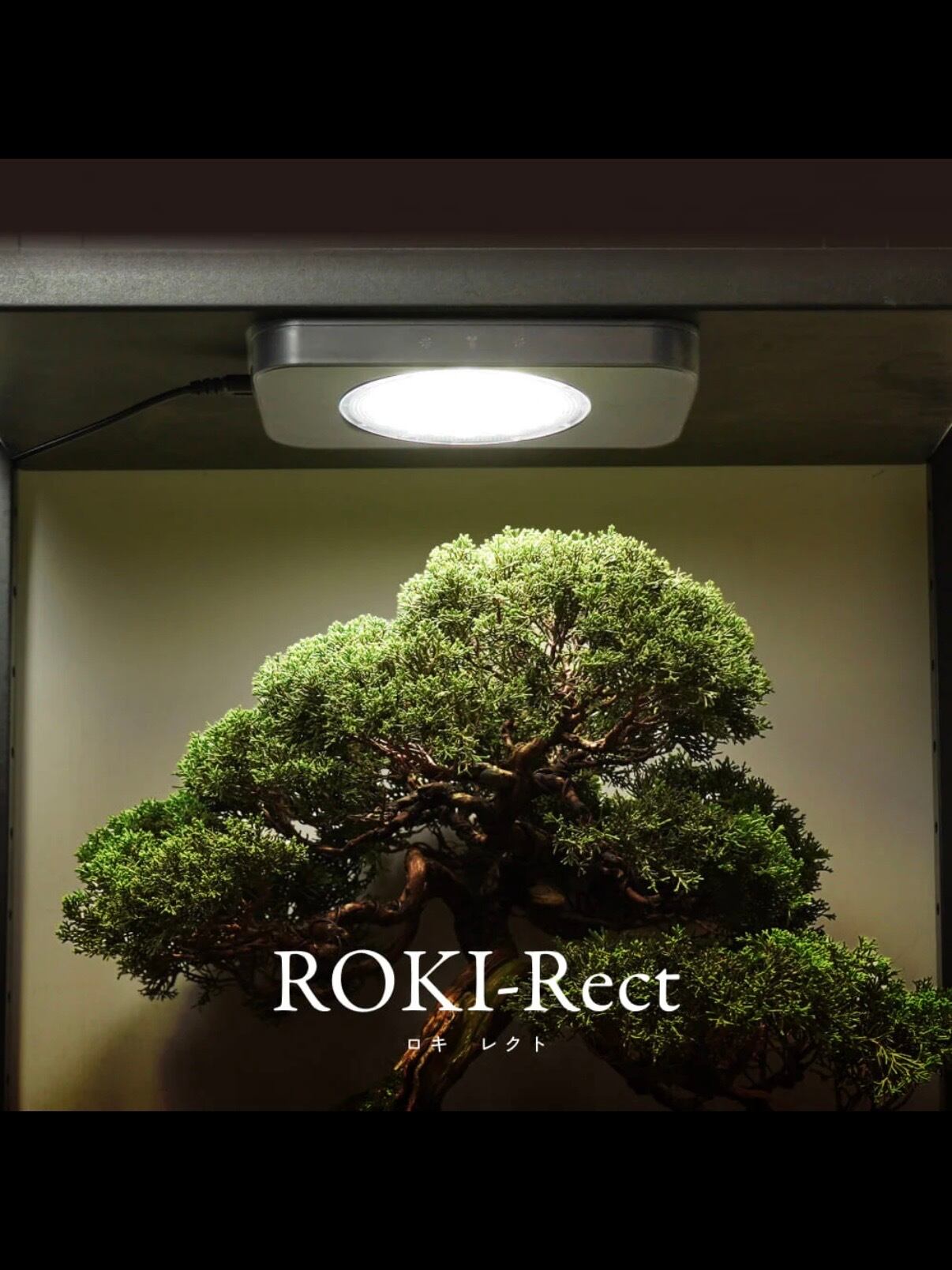 ROKI-Rect パネル型ライト