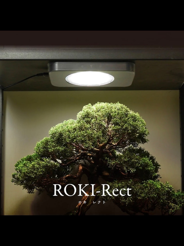 ROKI-Rect パネル型ライト