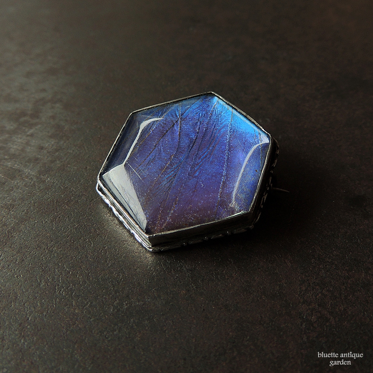 アンティークジュエリー シルバー モルフォ蝶 ブローチ(ヘキサゴンタイプ)