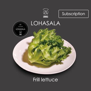定期　LOHASALA　フリルレタス　　6個×100g　無洗LED栽培野菜