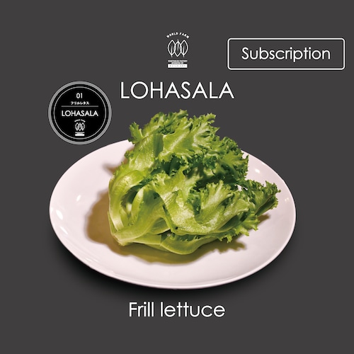 定期　LOHASALA　フリルレタス　　6個×100g　無洗LED栽培野菜