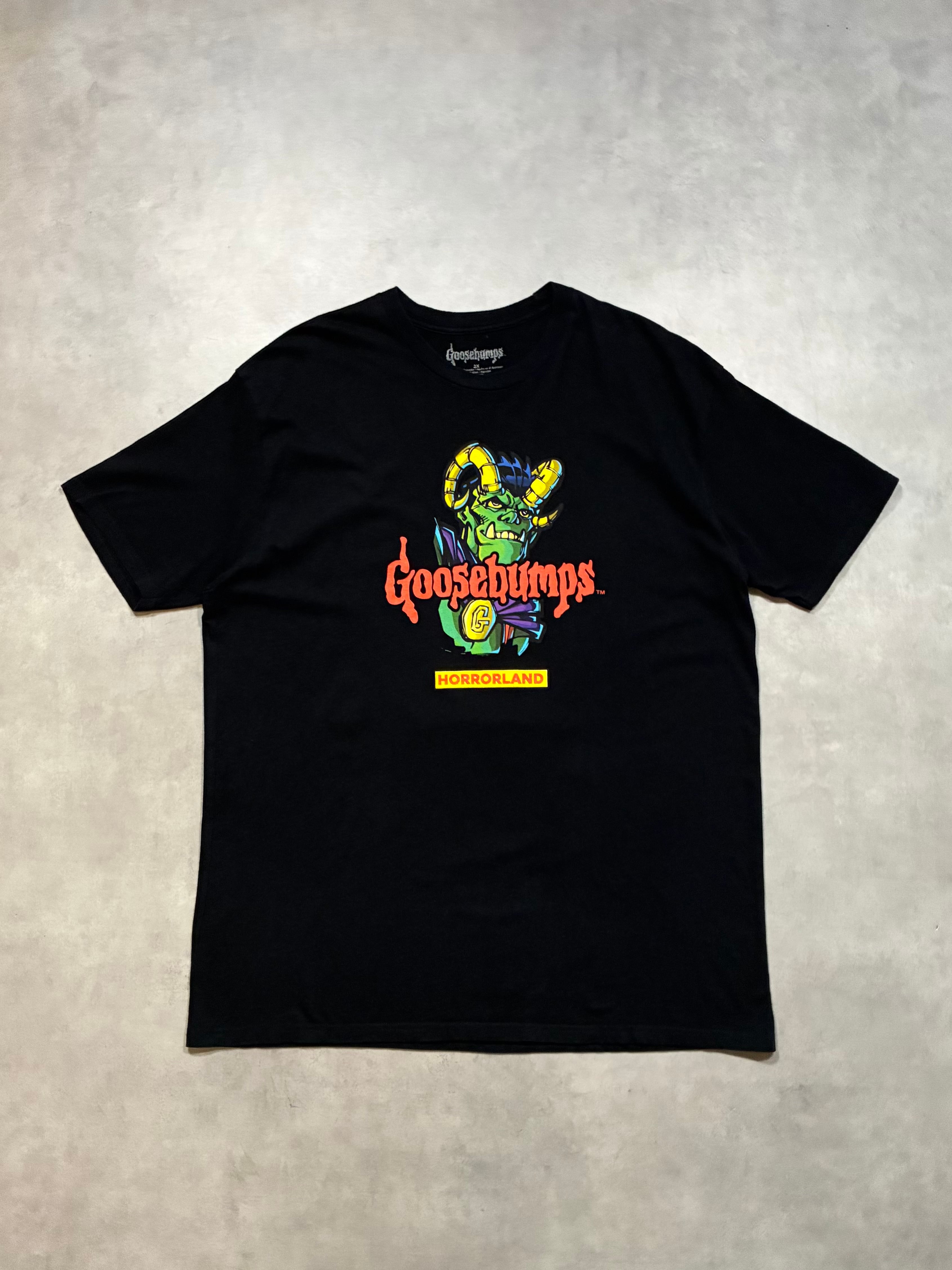 00s OLD STUSSY/Naomi Campbell print Tee/L/ナオミキャンベルプリント