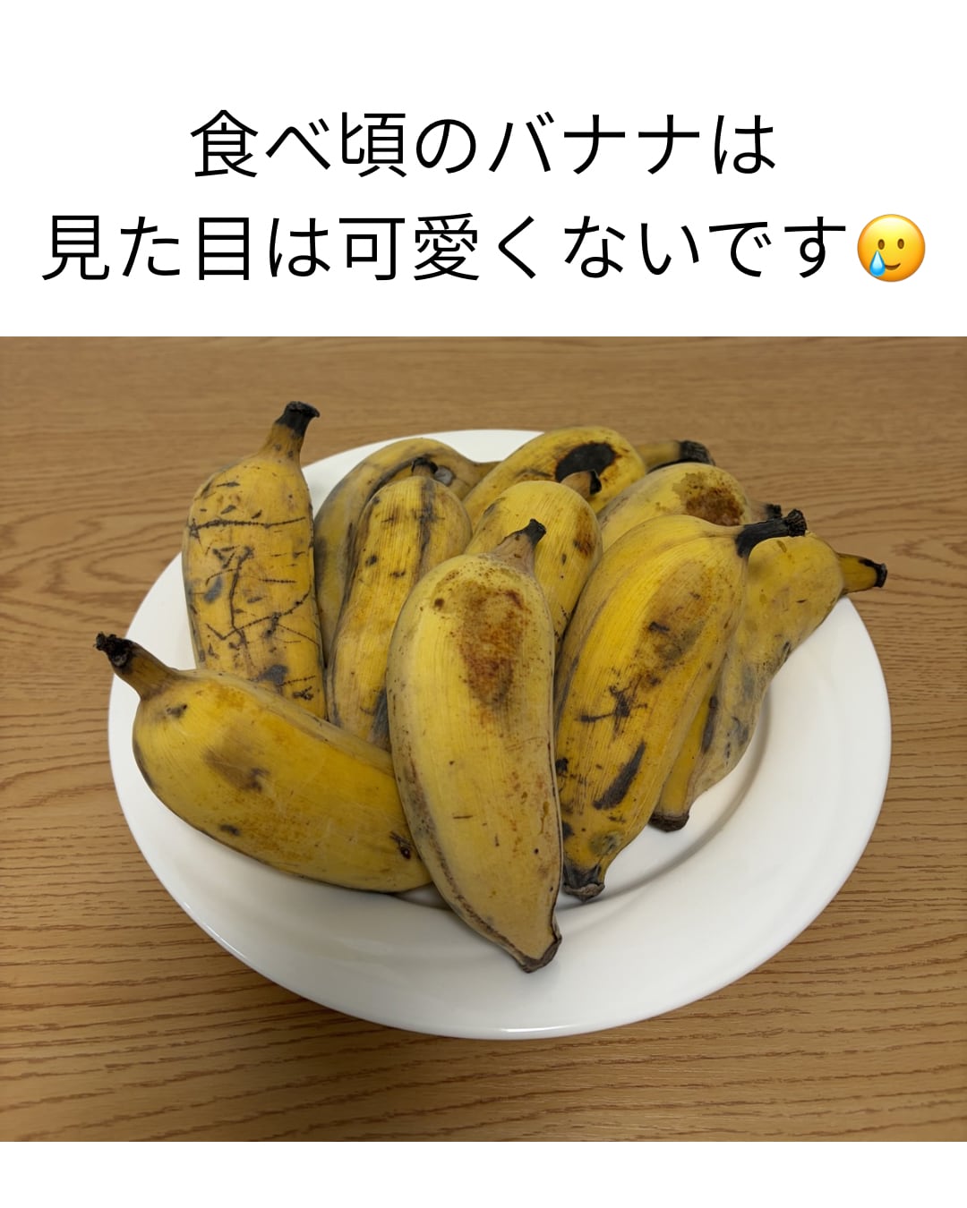 バナナ 甘熟王 Dole（ドールジャパン） By 苗木部 苗 販売 ID PAY 沖縄