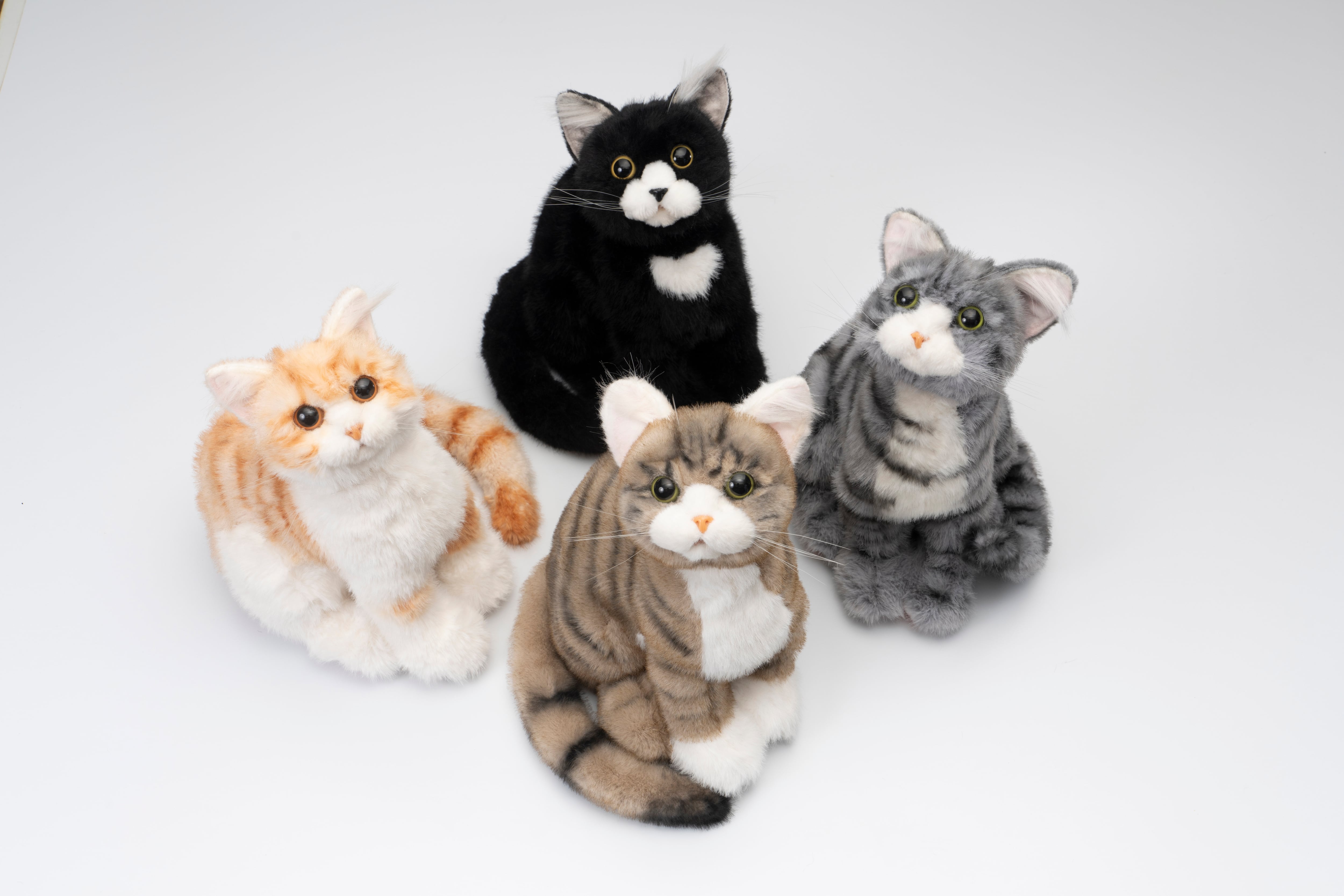 なでなでねこちゃん子猫ちゃん ハチワレ | トレンドマスター
