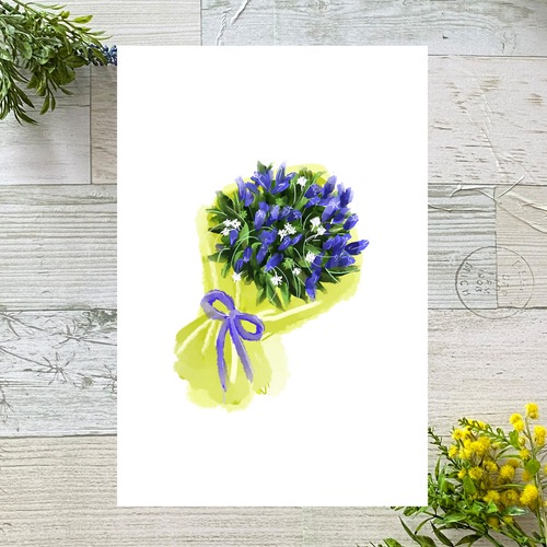 リンドウの花束　イラストポストカード2枚セット