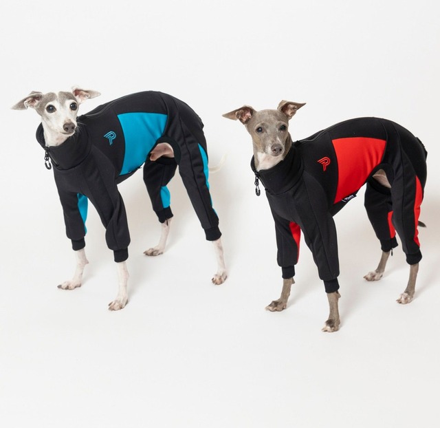 ドッグランジャージ　black × red  / イタグレ服