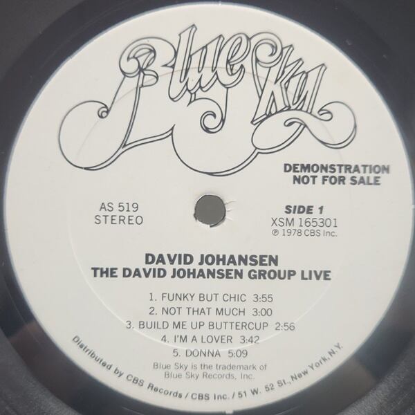David Johansen Group / The David Johansen Group Live [AS 519] - 画像3