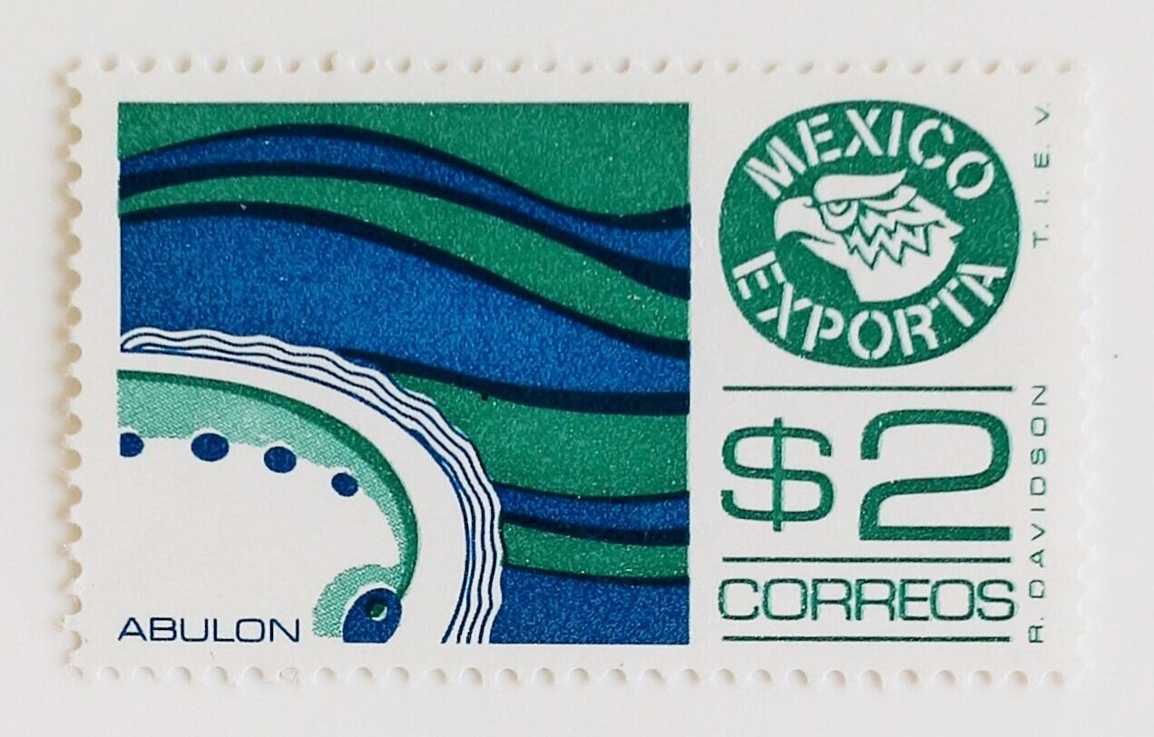 エクスポルタ・シー / メキシコ 1981
