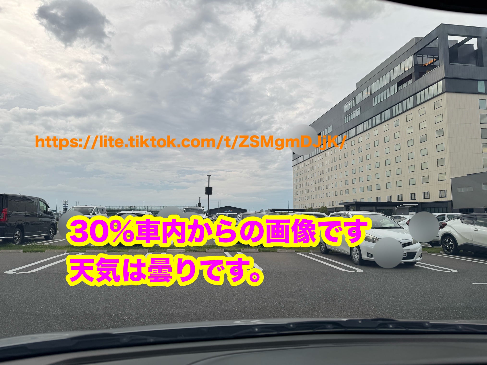 フロントガラス用 未カット大判フィルム風サンシェード スモーク