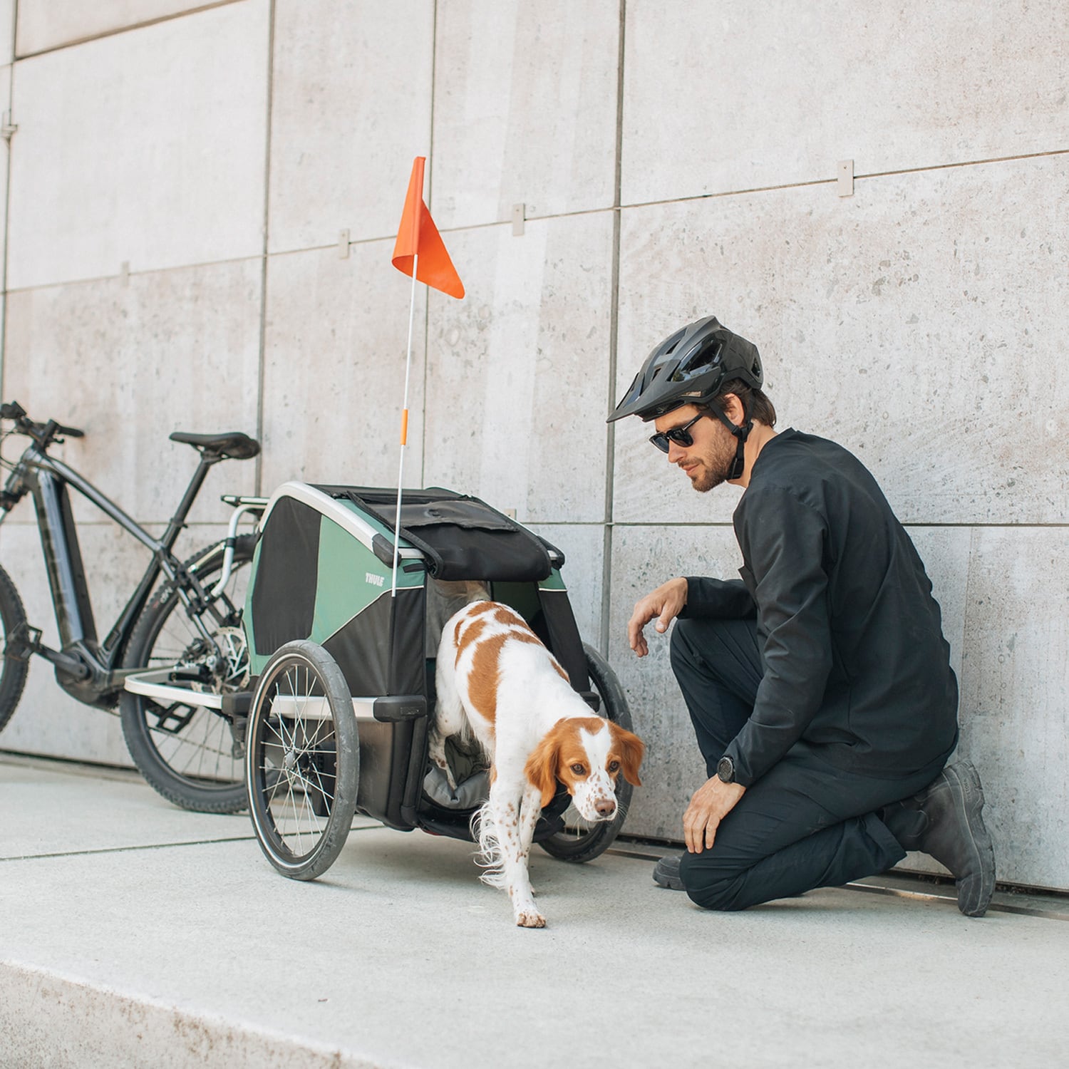 Thule Bexey（スーリー ベクシー）犬用サイクルトレーラー_Mサイズ