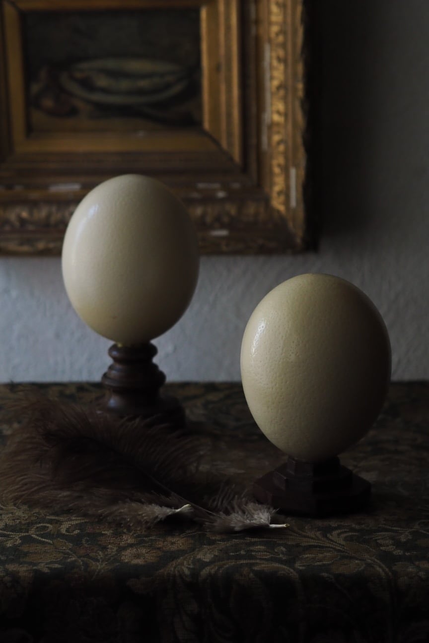 ダチョウの卵・置物・ビンテージ・アフリカ土産 ダチョウの卵 置物 - メルカリ