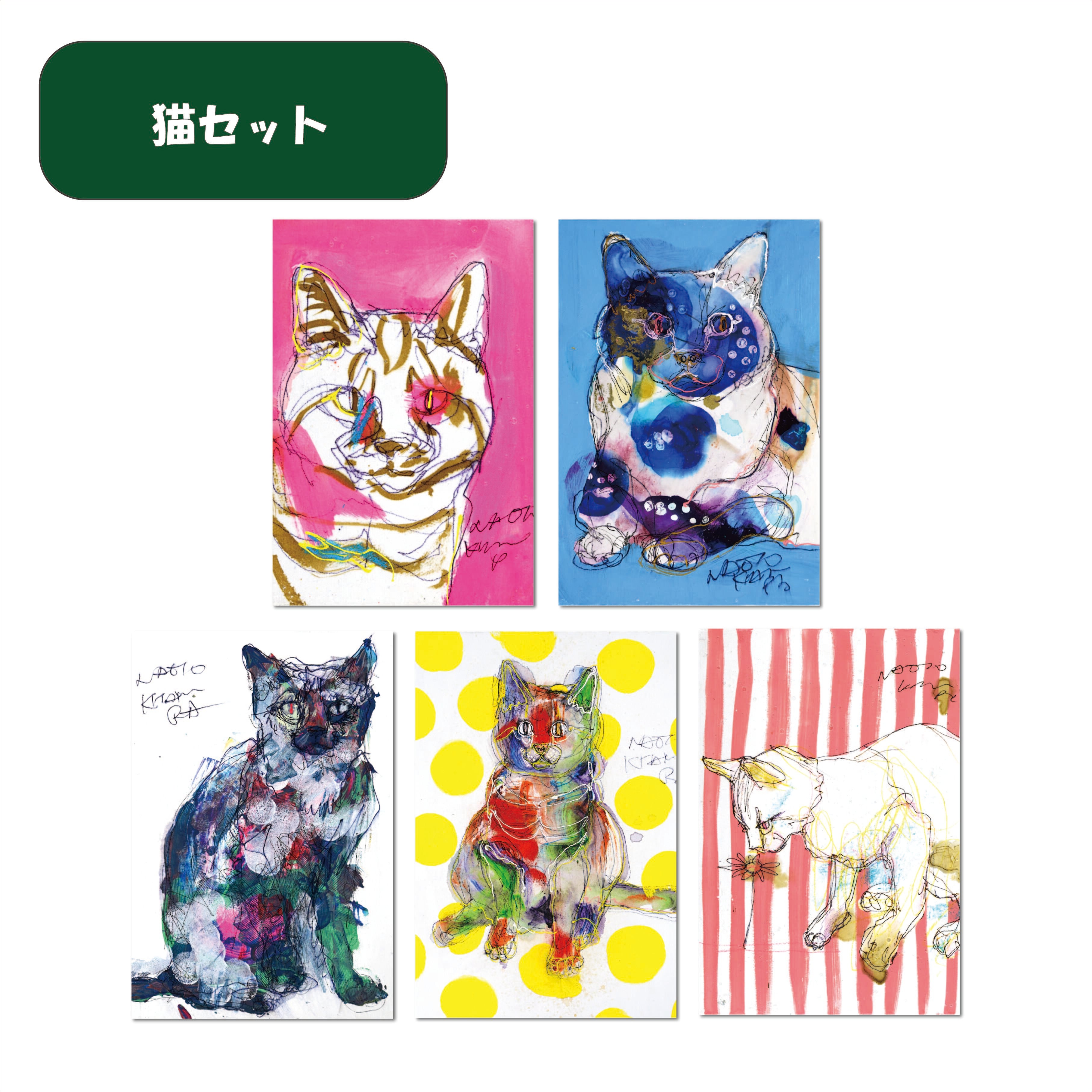 人気動物セット（ポストカード5枚セット） | NAOTO KITAMURA 