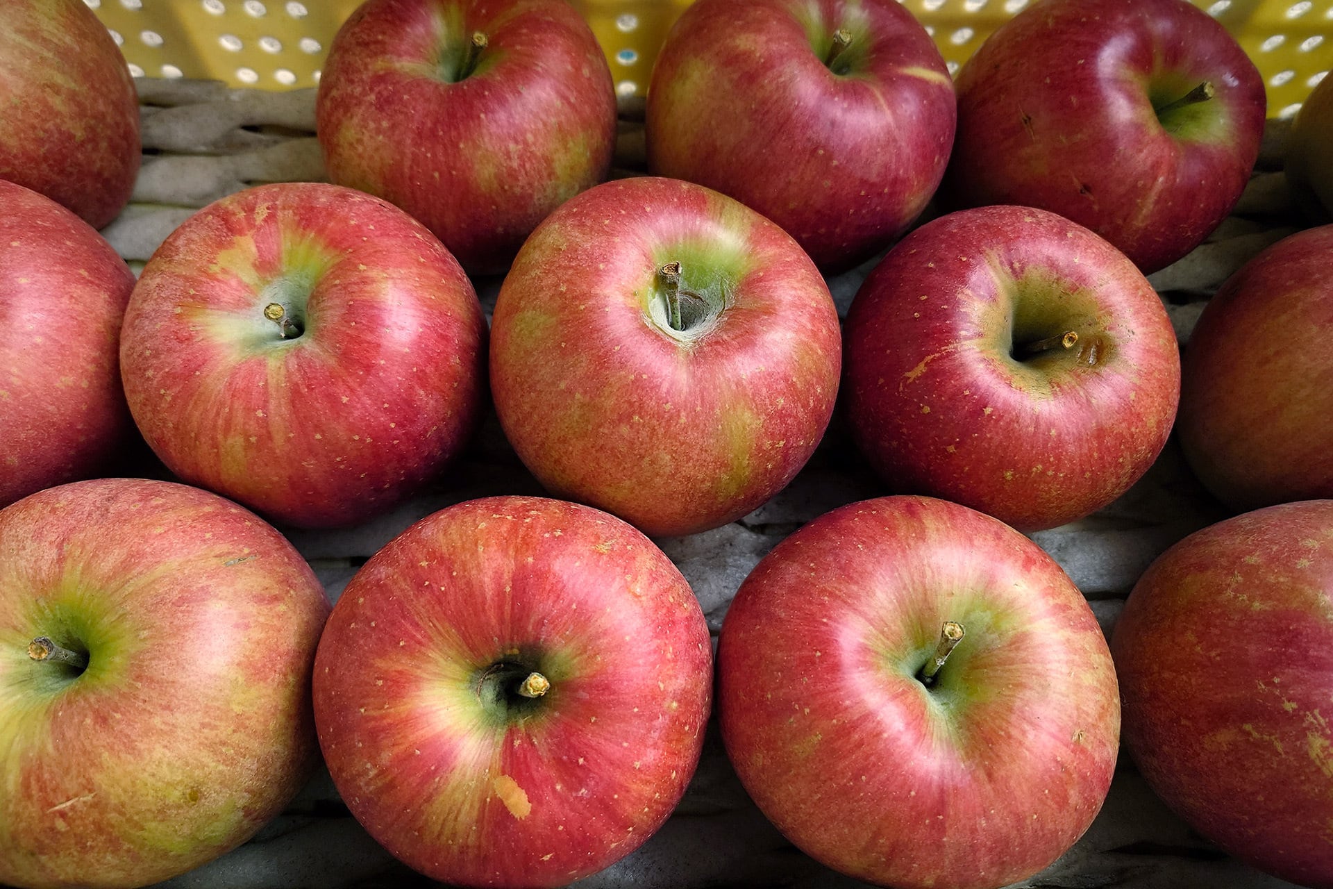 ご家庭用シナノスイート 5kg