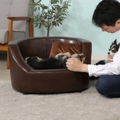 F-PET SOFA