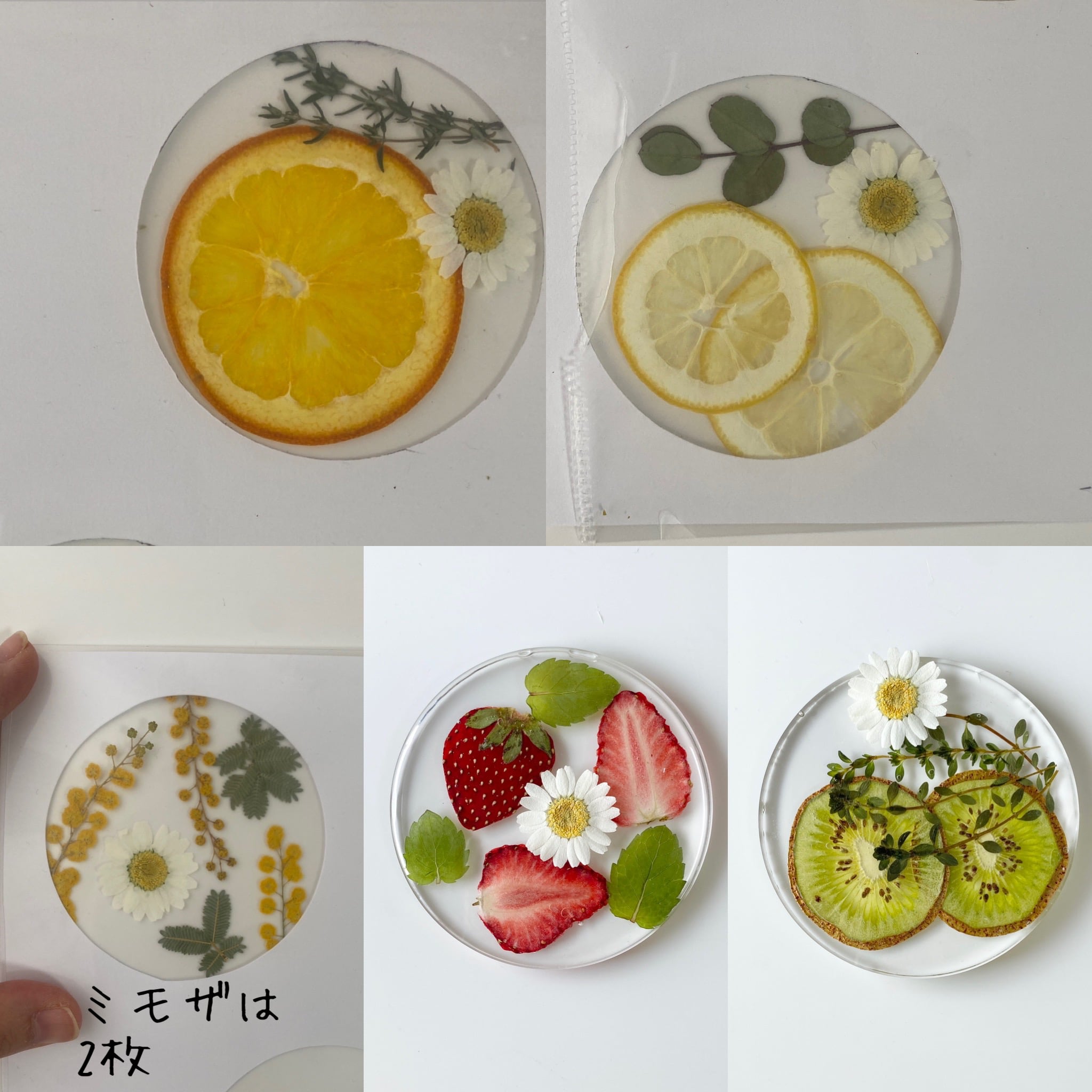 h様専用 2枚
