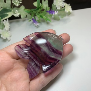 9.海のアニマル♪♪フローライトお魚さん☆