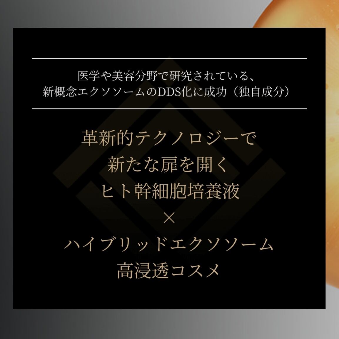 direia ディレイア ザ ステムセラム EXソーム 30ml | stcecilia