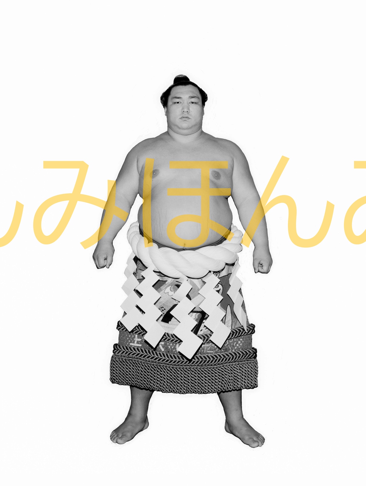 昭和54年3月場所全勝 横綱 北の湖敏満関(16回目の優勝) | 大相撲まいにち部屋(大相撲優勝ミニ額販売公式サイト)