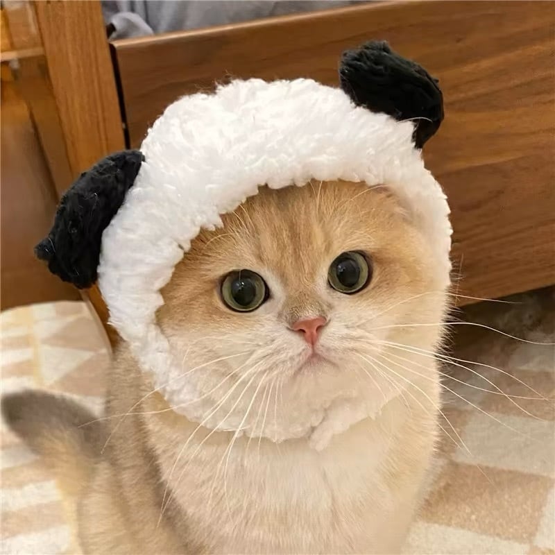 パンダ被り物 猫 帽子 コスプレ | nyanpets 猫グッズ専門店
