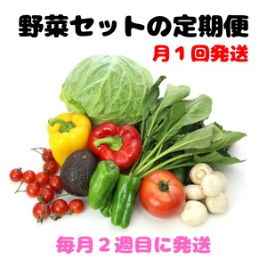 【定期便】野菜セット（月１回２週目発送）