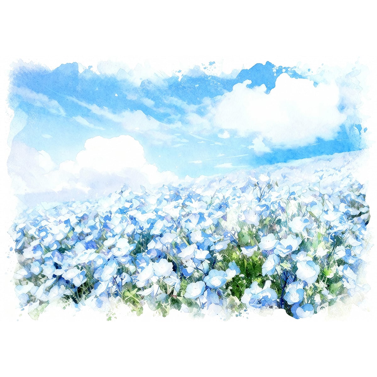 絵画(風景画) 日本 茨城県 国営ひたち海浜公園みはらしの丘の