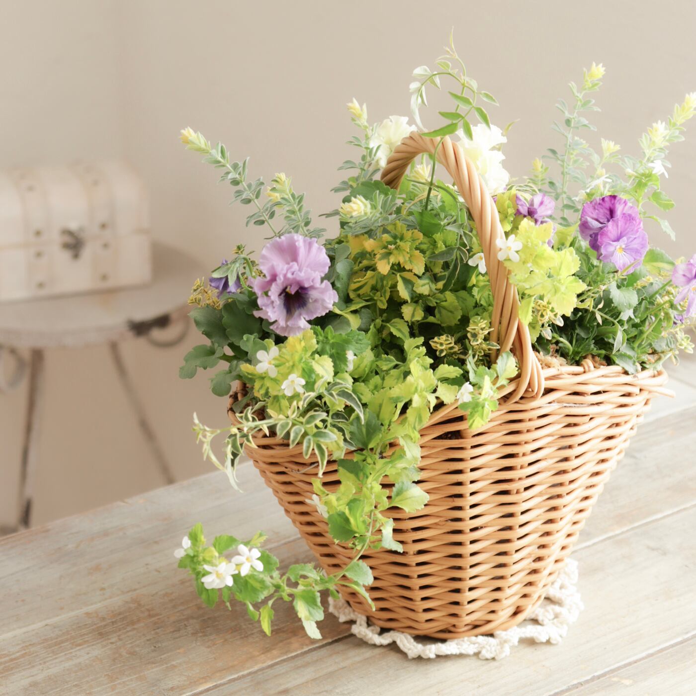 寄せ植えギャザリング作品 | Green heartꕥオンラインショップ