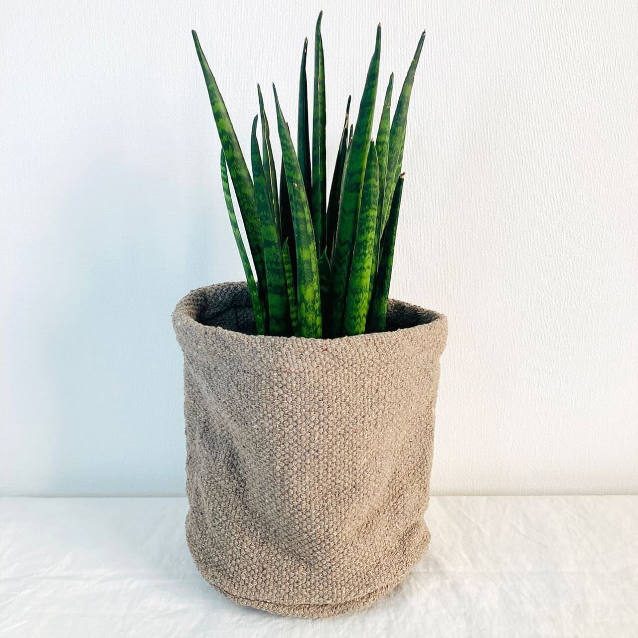 コットン鉢カバー グレー | planttool - 観葉植物関連グッズの コットン鉢カバー グレー | planttool - 観葉植物関連グッズの