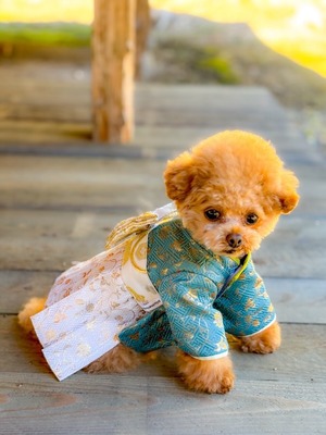 袴（グリーン×ホワイト）