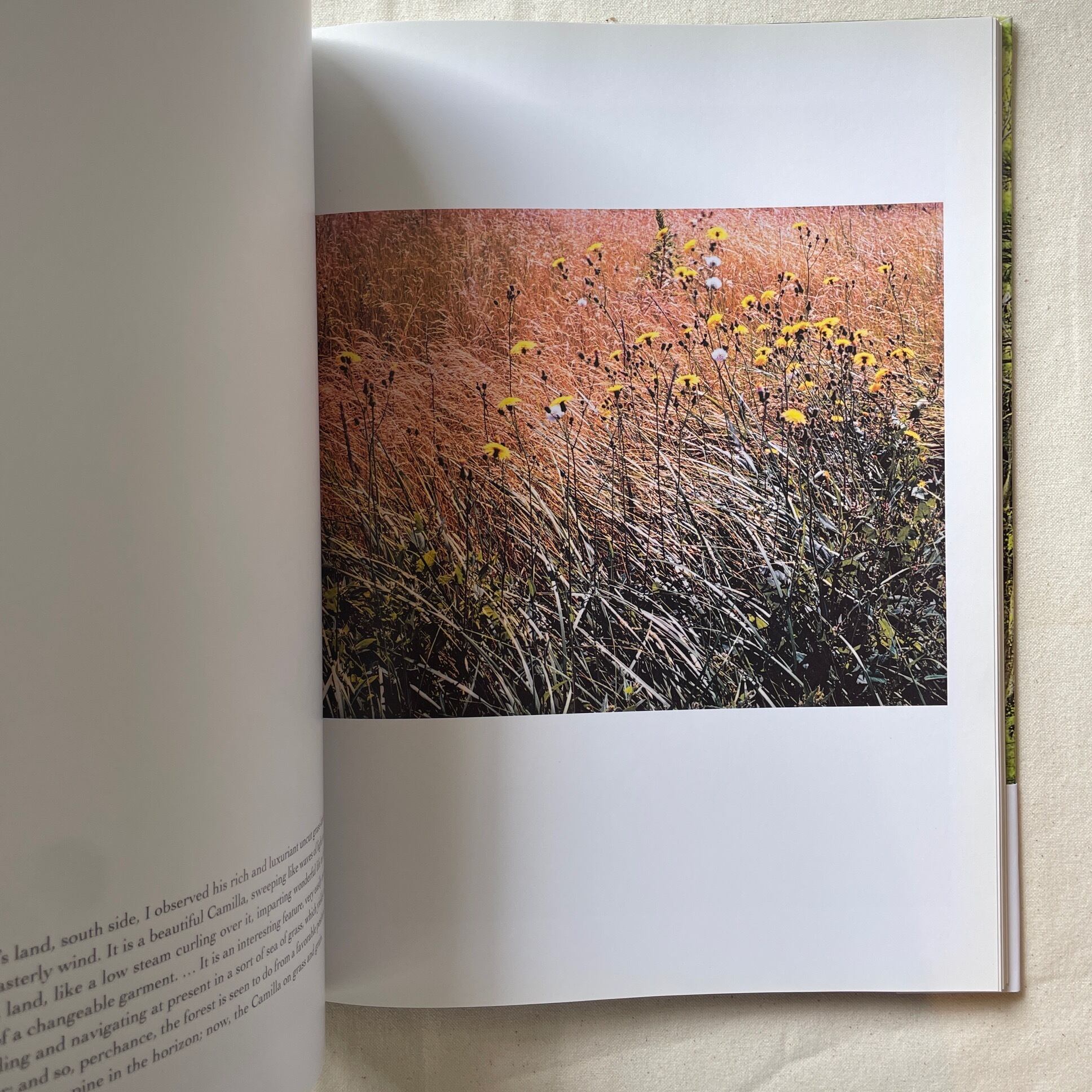 In Wildness Is the Preservation of the World / Eliot Porter、Henry