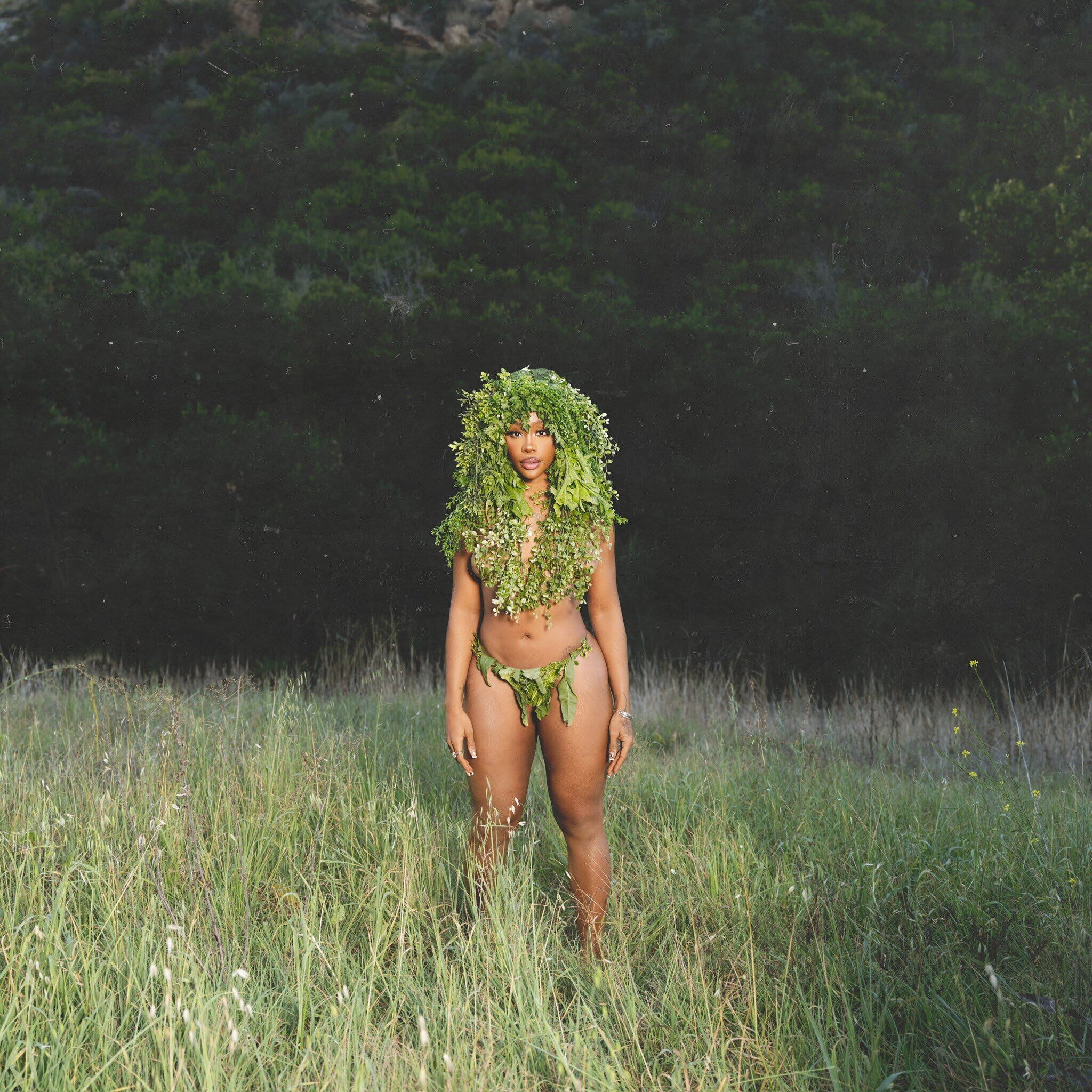 SZA / SOS Deluxe:Lana(Ltd Green 4LP)