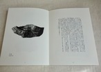 戸次祥子画文集「こんな石を見た」BEKKI Shoko thumbnail 4
