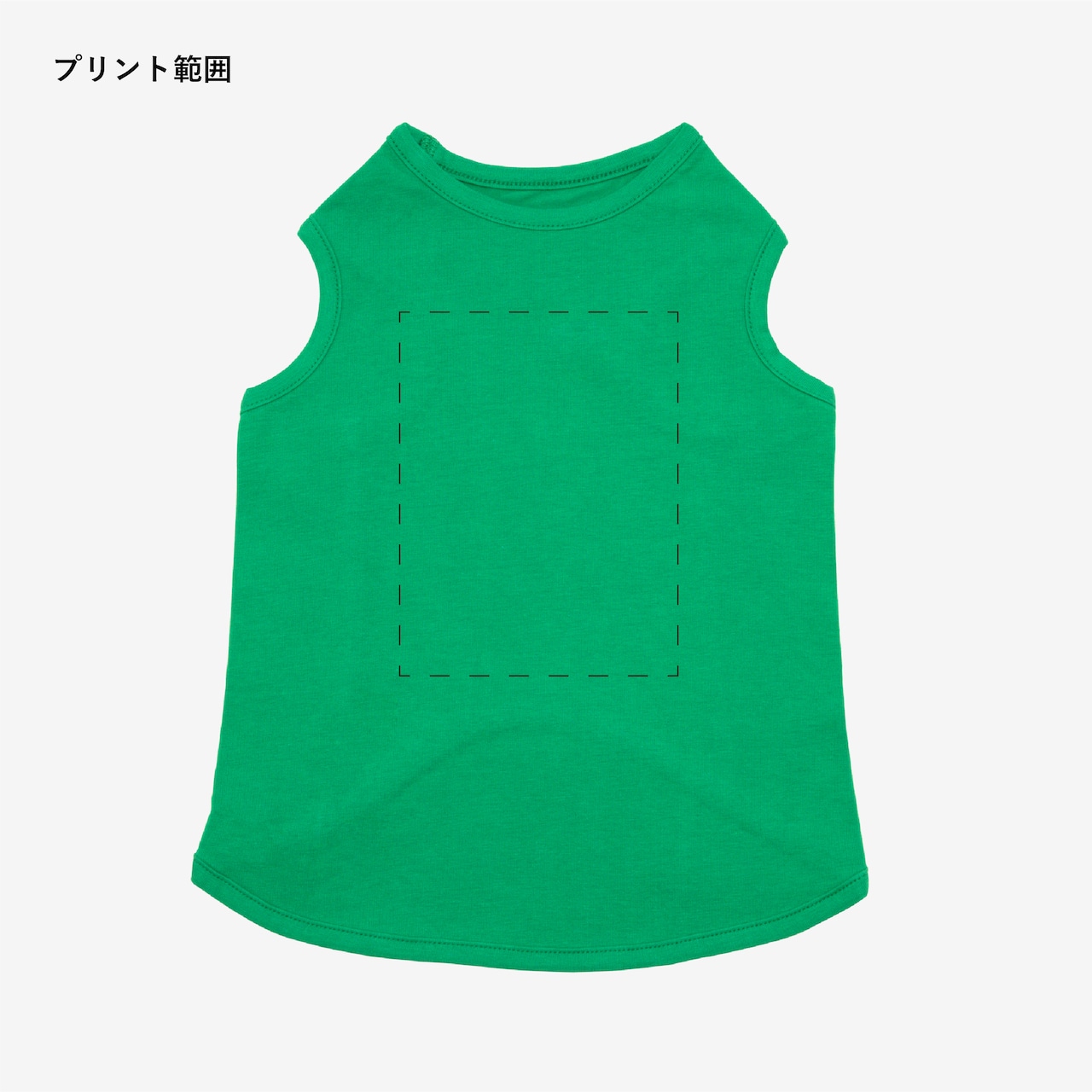 お写真ライトプラン ※プリント代込み