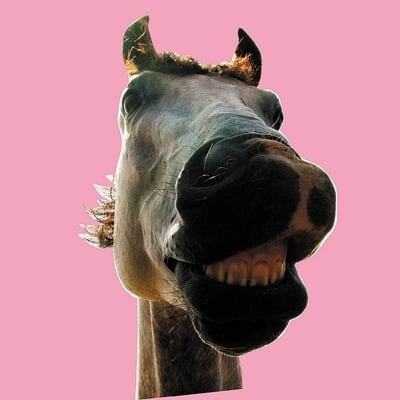2LP】↑THE HIGH-LOWS↓ - Do!! The☆MUSTANG (180グラム重量盤